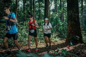 BIB: 
                            <button type="button" onclick="openModal(26132825)" class="btn btn-primary btn-sm float-right btn-popup" data-toggle="modal" data-target=".modal-high-quality">
                        <i class="fas fa-shopping-cart"></i> Add to Cart
                    </button>
                                            <button type="button" onclick="isThisMe(26132825, true)" class="btn btn-success btn-sm float-right btn-popup btn-isme hidden" data-toggle="tooltip" data-placement="bottom" title="นี่คือรูปของคุณใช่ไหม คลิกที่นี่เพื่อเอาเข้าอัลบั้ม">
                        <i class="fas fa-plus"></i> Add to album
                    </button>
                    <button type="button" onclick="isThisMe(26132825, false)" class="btn btn-warning btn-sm float-right btn-popup btn-isnotme hidden">
                        <i class="fas fa-ban"></i> Remove from album
                    </button>